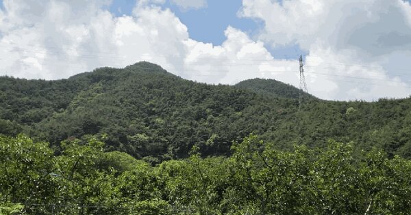 경상남도 창녕군 고암면 감리 산80  미지정 경매 물건 이미지