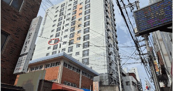 부산광역시 사하구 괴정동 890-4 유성해네스타워  8층804호 미지정 경매 물건 이미지