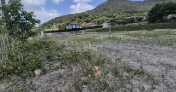 경상북도 포항시 북구 기계면 내단리 19  미지정 경매 물건 이미지