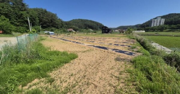 강원특별자치도 양양군 양양읍 거마리 243  미지정 경매 물건 이미지