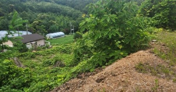 경기도 광주시 도척면 노곡리 450-65  미지정 경매 물건 이미지