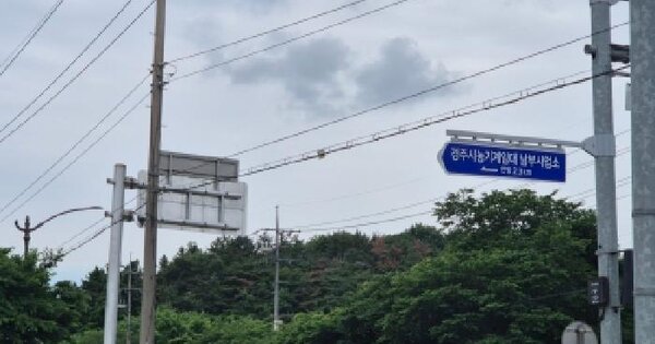 경상북도 경주시 구정동 산31-7  미지정 경매 물건 이미지