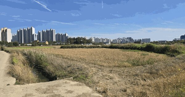 전북특별자치도 익산시 오산면 장신리 8-3  미지정 경매 물건 이미지