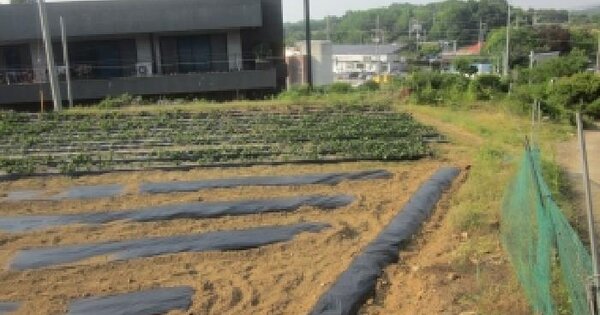 충청남도 당진시 채운동 542  미지정 경매 물건 이미지