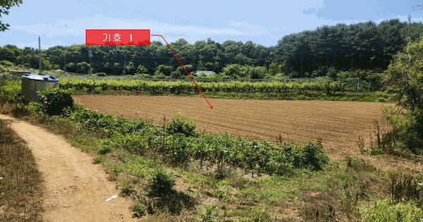 경기도 파주시 문산읍 당동리 458-1  미지정 경매 물건 이미지