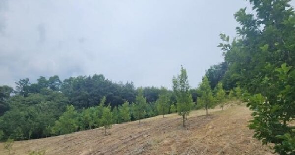 충청북도 영동군 양강면 가동리 64  미지정 경매 물건 이미지