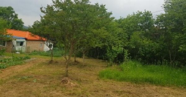경기도 화성시 효행구 봉담읍 내리 219-6  미지정 경매 물건 이미지
