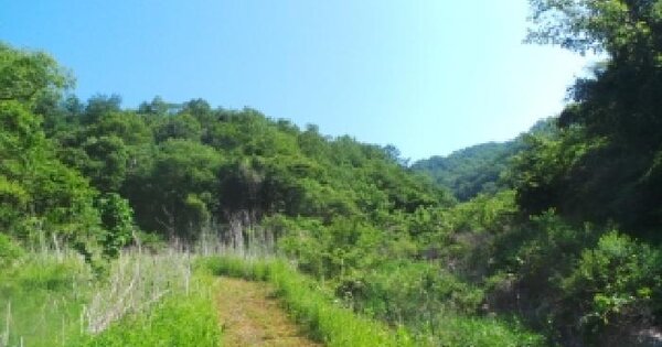 강원특별자치도 춘천시 남산면 수동리 산64  미지정 경매 물건 이미지