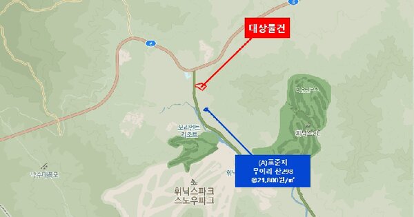 강원특별자치도 평창군 봉평면 무이리 산299-3  미지정 경매 물건 이미지