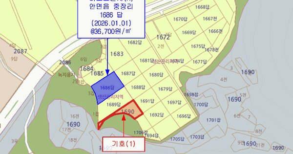 충청남도 태안군 안면읍 중장리 1690  미지정 경매 물건 이미지