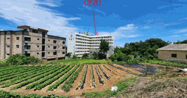 충청남도 아산시 둔포면 둔포리 285-1 비둘기아파트 101동 5층 503호 미지정 경매 물건 이미지