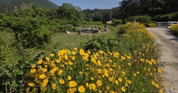 전북특별자치도 부안군 진서면 운호리 421-30  미지정 경매 물건 이미지