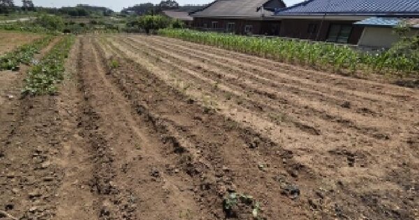 전북특별자치도 부안군 동진면 당상리 454-2  미지정 경매 물건 이미지
