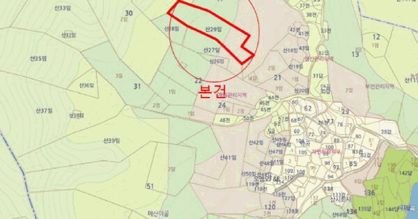 전라남도 담양군 용면 통천리 산29  미지정 경매 물건 이미지