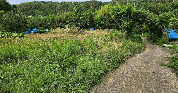 울산광역시 울주군 청량읍 문죽리 1237-14 과수원 경매 물건 이미지