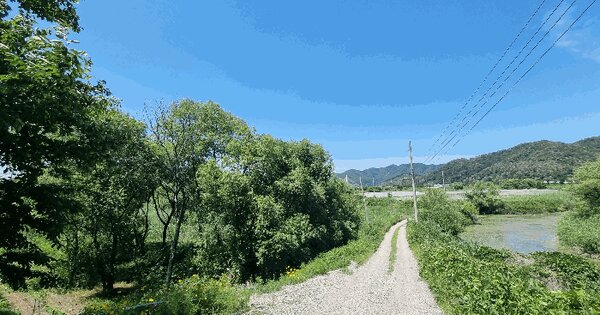 경상남도 김해시 한림면 장방리 172-4  미지정 경매 물건 이미지