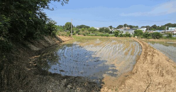 충청북도 청주시 흥덕구 지동동 144-1  미지정 경매 물건 이미지