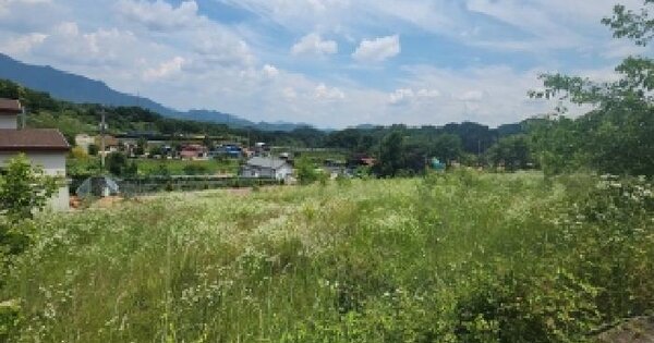 충청북도 영동군 용산면 신항리 23-2  미지정 경매 물건 이미지