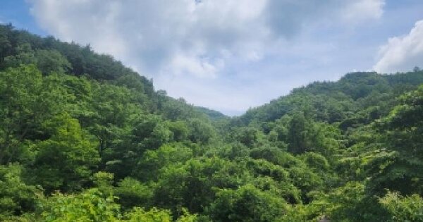 전라남도 구례군 토지면 내동리 646  미지정 경매 물건 이미지