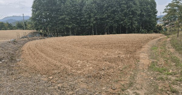 충청남도 부여군 홍산면 북촌리 104-17  미지정 경매 물건 이미지