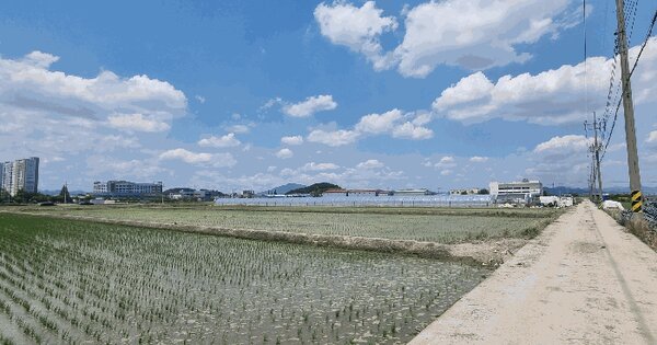 경상남도 창원시 의창구 대산면 제동리 495-7  미지정 경매 물건 이미지