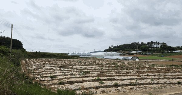 전라남도 무안군 현경면 가입리 208-1  미지정 경매 물건 이미지