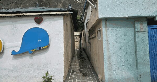 경상북도 포항시 북구 신흥동 672-24  미지정 경매 물건 이미지