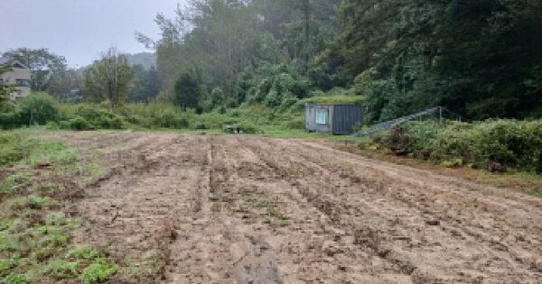 경기도 성남시 수정구 상적동 OOO 전 경매 물건 이미지