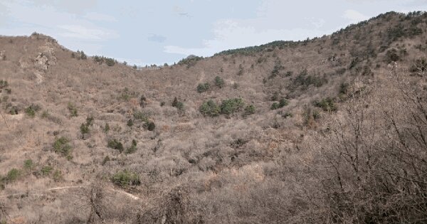 전라남도 영암군 학산면 신덕리 산147 임야 경매 물건 이미지