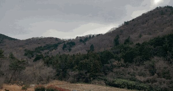 전라남도 영암군 학산면 신덕리 산164 임야 경매 물건 이미지
