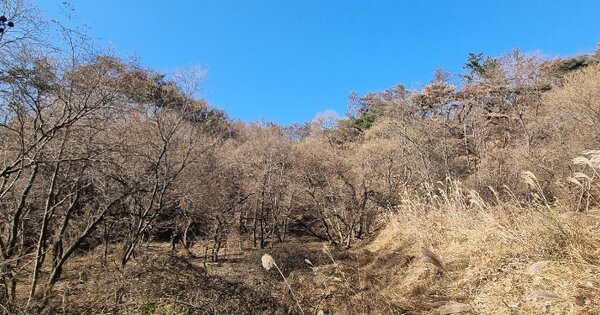 경상북도 포항시 남구 장기면 두원리 275 답 경매 물건 이미지