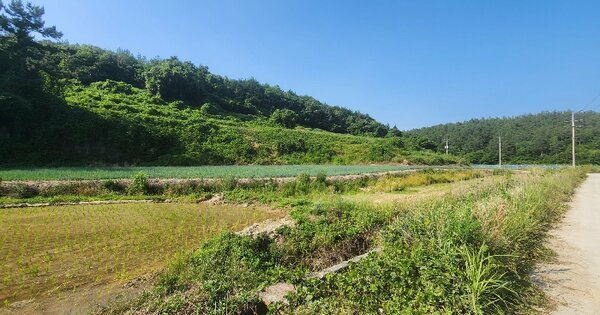 전라남도 진도군 지산면 길은리 20 답 경매 물건 이미지