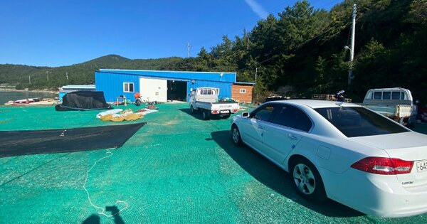 전라남도 완도군 금일읍 충동리 267-1  동물 및 식물 관련시설 경매 물건 이미지