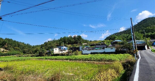 경상남도 창녕군 창녕읍 외부리 산100  임야 경매 물건 이미지