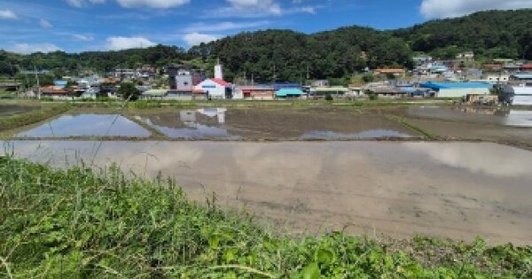 대전광역시 대덕구 장동 136-1 답 경매 물건 이미지