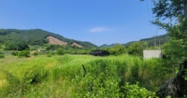 충청북도 괴산군 청안면 장암리 337-1  미지정 경매 물건 이미지
