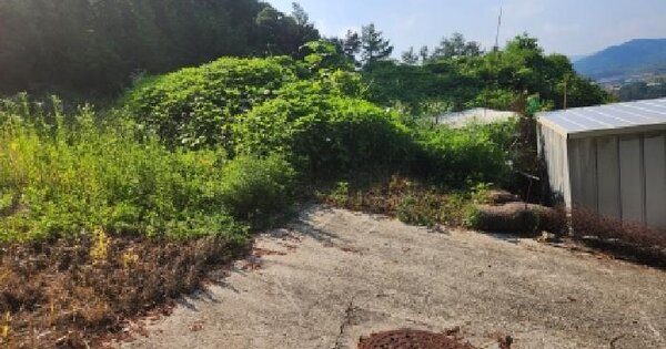 경기도 남양주시 수동면 입석리 323-11  미지정 경매 물건 이미지