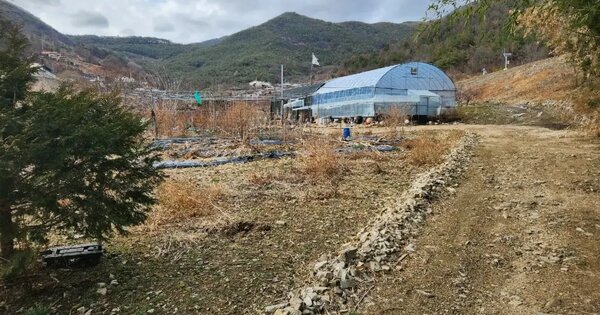 경상남도 밀양시 삼랑진읍 우곡리 734 답 경매 물건 이미지