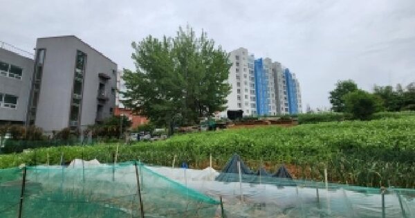 광주광역시 북구 용봉동 산141-6  미지정 경매 물건 이미지