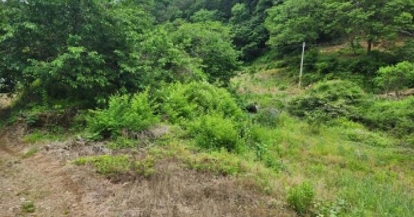 전남광주통합특별시 순천시 주암면 운룡리 269 답 경매 물건 이미지