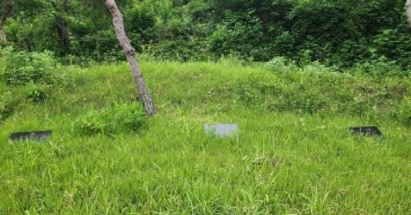 전남광주통합특별시 순천시 주암면 운룡리 252-1 전 경매 물건 이미지