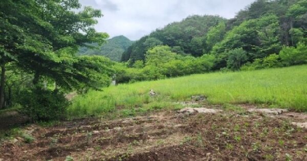 전남광주통합특별시 순천시 주암면 운룡리 253 전 경매 물건 이미지