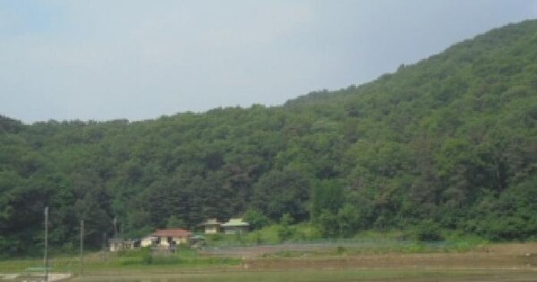 충청북도 진천군 문백면 은탄리 산59  미지정 경매 물건 이미지