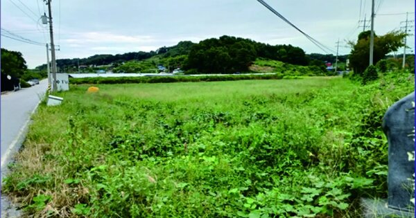 충청남도 논산시 은진면 시묘리 718-4 답 경매 물건 이미지
