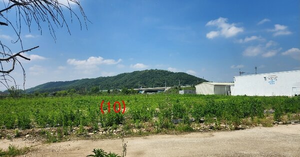 경기도 파주시 적성면 어유지리 298-20 전 경매 물건 이미지