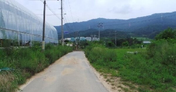 강원특별자치도 평창군 대화면 신리 1090 전 경매 물건 이미지