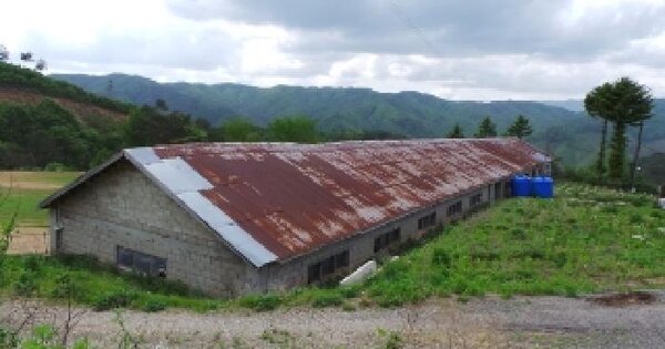 강원특별자치도 평창군 용평면 이목정리 115  동물 및 식물 관련시설 경매 물건 이미지