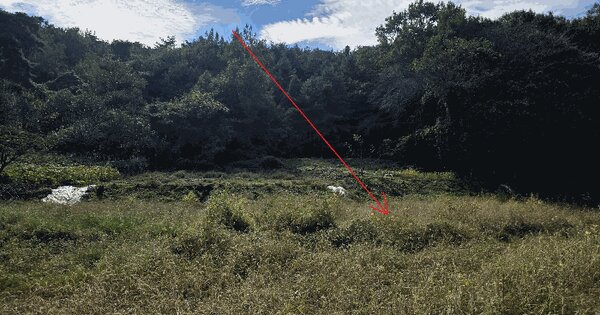 충청남도 예산군 봉산면 궁평리 389 전 경매 물건 이미지