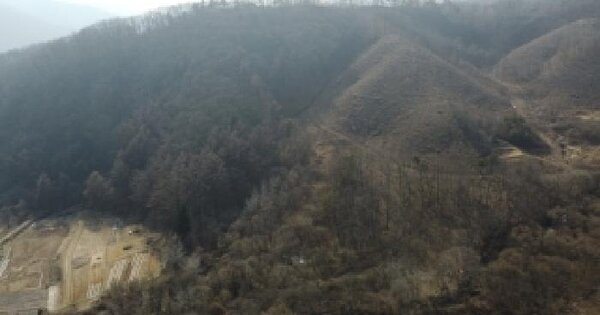 충청북도 진천군 백곡면 용덕리 산60 임야 경매 물건 이미지