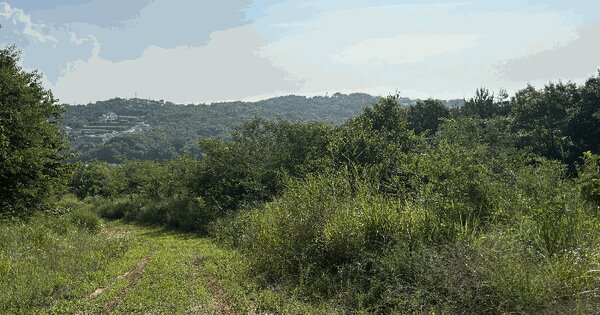 울산광역시 울주군 서생면 화산리 산23-27 임야 경매 물건 이미지